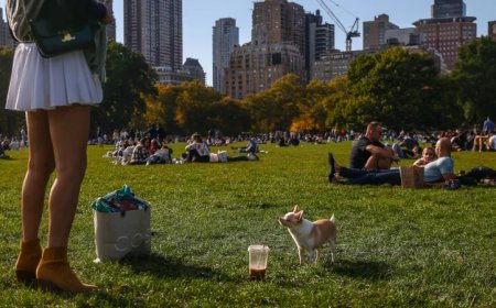 US Population Growth Prospects Corrected Downwards
