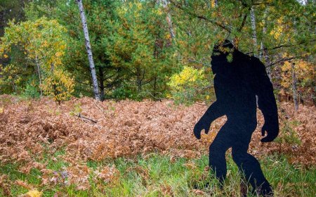 Dad and his kids think they've captured Bigfoot on video after spotting something in the woods