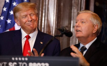 Donald Trump calls late Sen Lindsey Graham's Kavanaugh defense his 'finest moment'