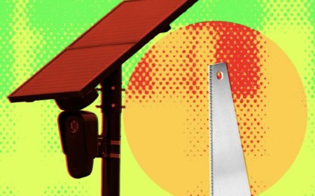 Air Force Engineer Accused Of Cutting Down AI Cameras Becomes Unlikely Hero, Raises Thousands For Legal Defense