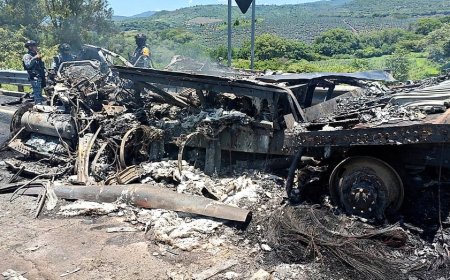 Four Americans caught in horrific Mexico highway pileup that killed at least 10