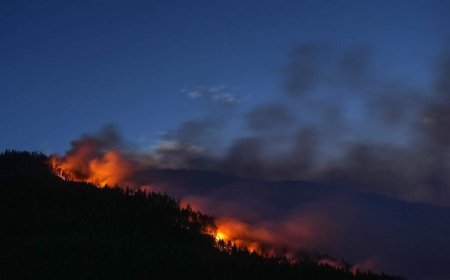 B.C. wildfires 2026: Live map shows fires burning, locations and evacuations