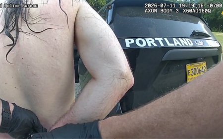 Naked man tries to kidnap 7-year-old tourist from mother at Portland park, bystanders intervene