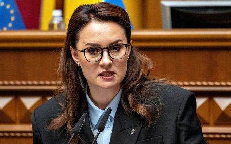 Ukrainian prime minister resigns in Zelenskyy shake-up