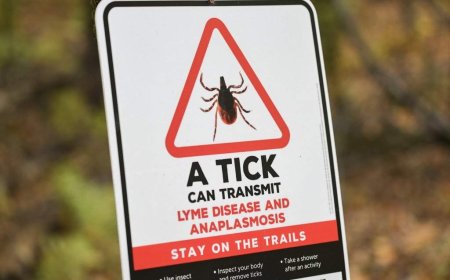 Ticks are spreading anaplasmosis, not just Lyme disease, CMAJ warns