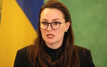 Ukraine Prime Minister’s Shock Resignation Marks Start Of Broader Zelensky Cabinet Reshuffle
