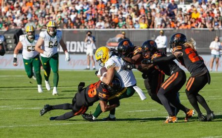 B.C. Lions name McKnight special teams coordinator