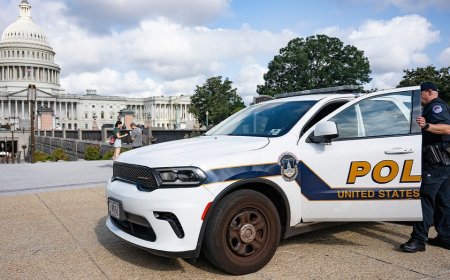 Armed man arrested at US Capitol barricade as police probe why he drove onto restricted grounds