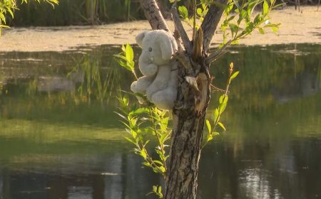 Young child dead after drowning in southeast Calgary stormwater pond