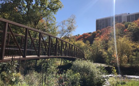 New trail opens in midtown Toronto ravine