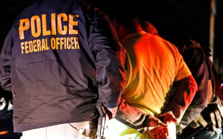 Family shattered after 3-time deported illegal immigrant allegedly blew through stop sign, roiling House race
