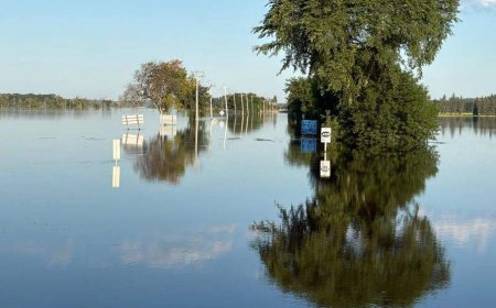 Assiniboine River crested overnight, Brandon mayor says