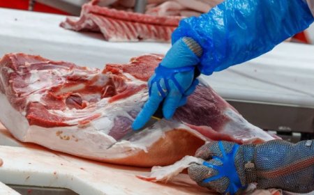 To the Slaughter: Why We Need a Political Movement To Safeguard Our Access to Essential Animal Foods