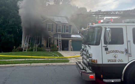 Dog accidentally turns on toaster, sparking Maryland house fire that killed 3 family pets