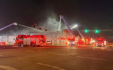 1 person dead after northeast Edmonton apartment building fire