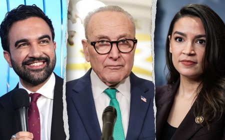 LIZ PEEK: Democrats’ affordability scam collapses in states they actually run
