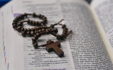 Amnesty International’s New ‘Enemies List’ Includes Pro-Life, ‘Gender-Critical,’ Faith Groups