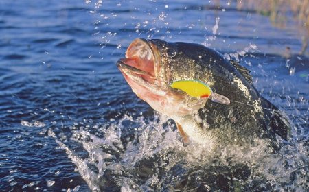 Two regular Joes will compete with pros for $3.25M purse at inaugural 'The Champions' bass fishing tournament
