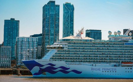 Crew member dead after going overboard Regal Princess cruise ship