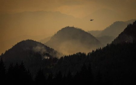 B.C. provides update on current wildfire and drought conditions