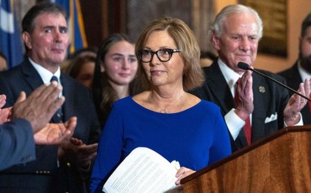 Lindsey Graham's sister carries on late senator's work, becoming South Carolina's first female senator