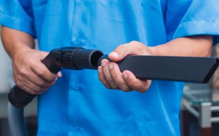 Florida man who had sexual encounter with vacuum cleaner near Disney World takes no contest plea