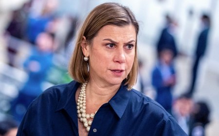 WATCH: Elissa Slotkin says SAVE America Act would make it 'hard for any Democrat' to win an election