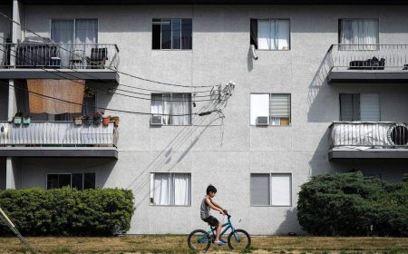 What to do if you lose power or air conditioning in a heat wave blackout