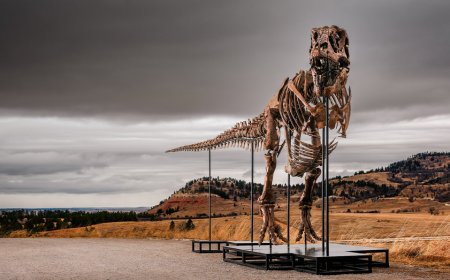 Massive T. rex fossil roars to $50 million sale, becoming one of the priciest ever auctioned