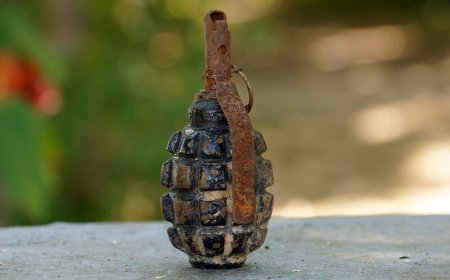 Canadian police politely ask people to stop bringing them unexploded WWII grenades
