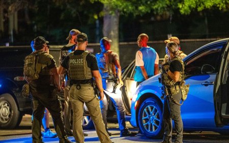 Man fleeing ICE officers in Florida is struck and killed by tractor-trailer, police say