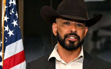 Docs expose horrific strangling, kidnapping charges against anti-ICE lawyer championed by Dems