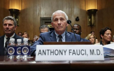 Top 5 moments from Fauci's hearing: Paul boots lawyer, Moreno erupts as contempt vote looms