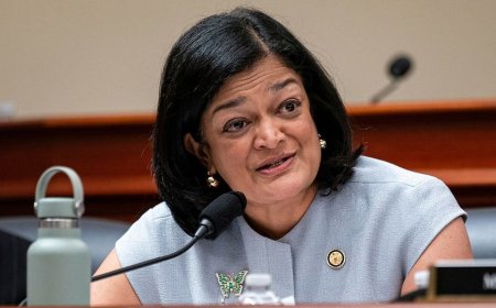 House progressives revive Green New Deal for public schools as Dem civil war empowers far left