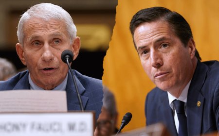 Senator’s F-bomb bashing of Fauci rocks Internet: ‘High-heat fastball!’