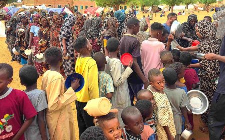 Sudan's forgotten war leaves millions hungry as global attention remains elsewhere