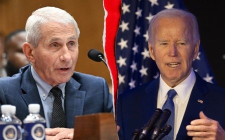 Halperin compares Fauci diary media coverage to Biden's mental decline, calls it another cover-up