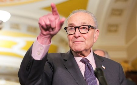 Schumer dodges question on whether DSA belongs in Democratic Party