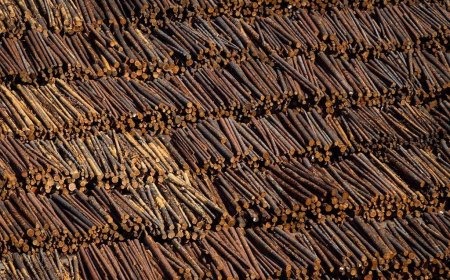 B.C. forestry company moving head offices to the U.S. amid struggles, tariffs