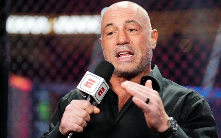 Joe Rogan warns liberals against trying to turn Texas blue, says it would wreck the state's 'delicate balance'