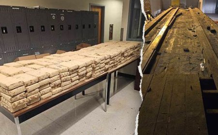 Border agents uncover $20M cocaine stash hidden beneath truck floorboards in massive bust