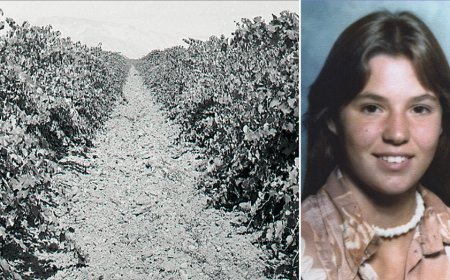 Teen found in shallow California vineyard grave identified nearly 50 years later as family warns killer