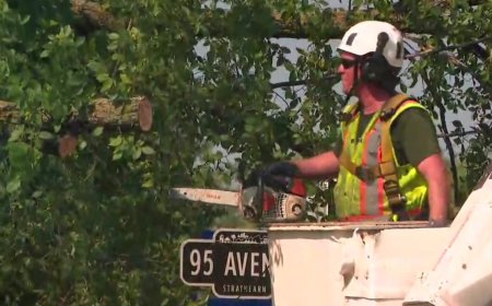 Thunderstorm cleanup expected to cost City of Edmonton $20-$30 million
