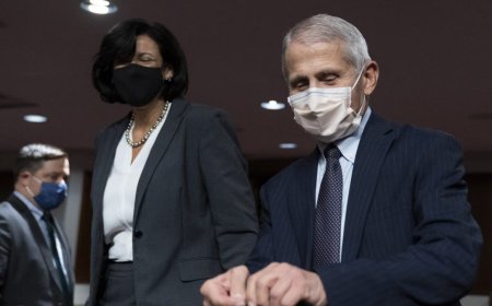 MORNING GLORY: The Fauci diaries and legacy media’s platinum dome under stress
