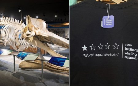 'Worst aquarium ever' review sends whaling museum's sales soaring 250%