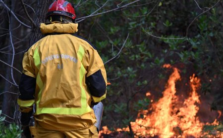 France lets 84K evacuees go home as wildfires spread across Europe