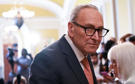 Sen Chuck Schumer unveils anti-corruption agency aimed at Trump and future presidents