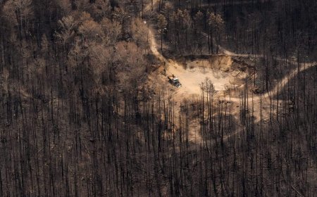 Ontario wildfire situation moving in ‘reassuring direction’ despite heat