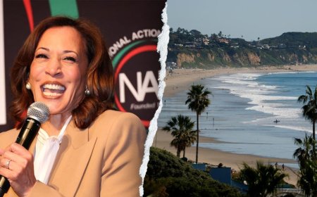 Kamala Harris' new $8M mansion is in a neighborhood with virtually no Black residents