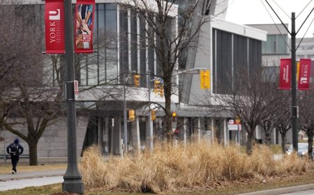 Ontario funds new family medical school as it preps for 2028 opening